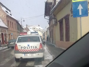 Topul Mârlanilor: O zebră a fost călcată de Poliție