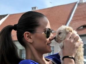 zeci de căţeluşi şi pisicuţe merg în piaţa mică să fie adoptate de sibieni