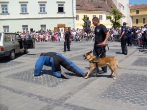 Un câine din Sibiu a făcut furori în Spania