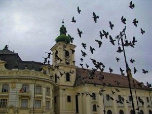 Cine merge în această seară la Tudor Gheorghe? Vezi fotografiile câştigătoare!