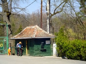 Peste 178.000 de vizitatori la Grădina Zoologică din Dumbravă, în 2010