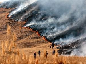 Pompierii dau foc la vegetaţia de pe terenurile agricole din Copşa Mică