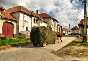 sibian prins cu numere false pe drumurile publice