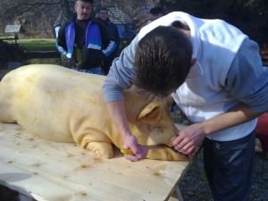 De Ziua Naţională sibienii au intrare liberă la pomana porcului în Dumbravă