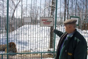 iohannis: "este posibil, chiar probabil", ca directorul zoo sibiu să fie demis după incidentul cu tigrul evadat şi ucis