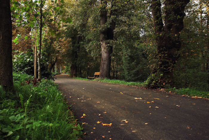 parcul sub arini va fi iluminat eco cu sute de sâlpi cu led. cât costă investiția