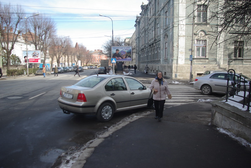 topul mârlanilor: îndrăgostiţi de zebră