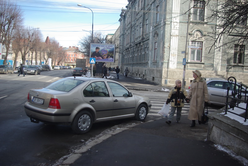 topul mârlanilor: îndrăgostiţi de zebră