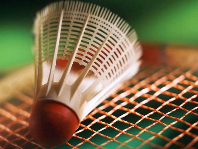 sâmbătă se organizează cupa amicii la badminton în copşa mică