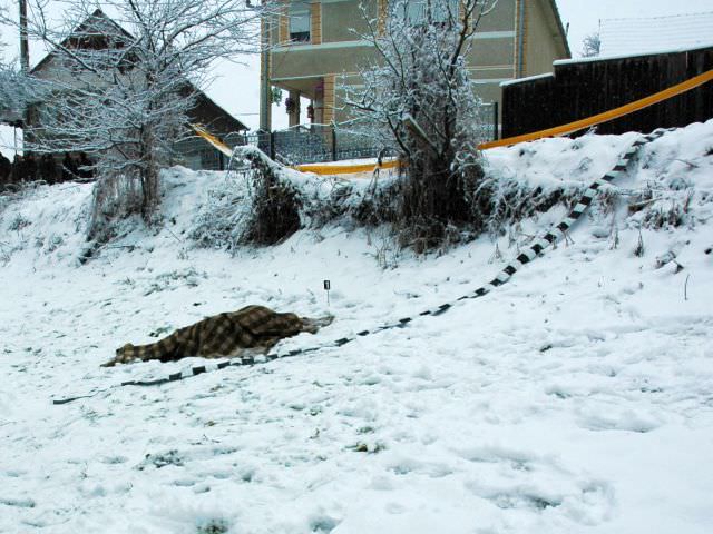 tânărul descoperit mort pe câmp la brateiu a fost identificat