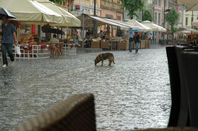 vremea pe 1 mai: se anunţă ploaie la sibiu :(