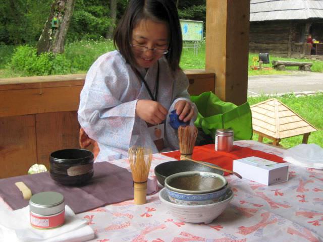 întâlnire cu japonia şi vizite gratuite, de 1 iunie, la muzeul în aer liber din dumbravă