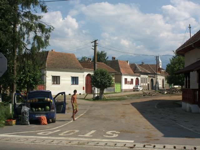 a căzut de pe căminul cultural din arpaşu de jos în timp ce monta ţiglă