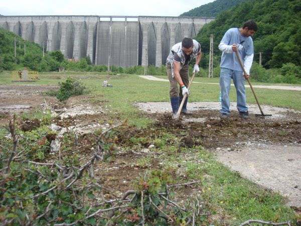 acţiuni de ecologizare şi free party în avanpremiera fusion festival 2011