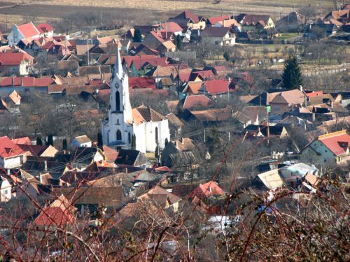 peste 1.300 de cercetaşi participă la "festivalul cercetaşilor" de la sălişte