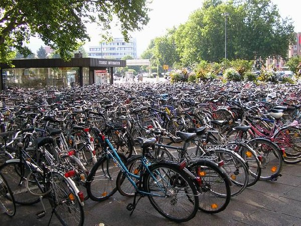 angajaţii de la agenţia pentru protecţia mediului vin la lucru pe jos sau cu bicicleta