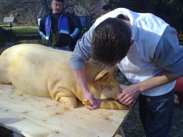 de ziua naţională sibienii au intrare liberă la pomana porcului în dumbravă