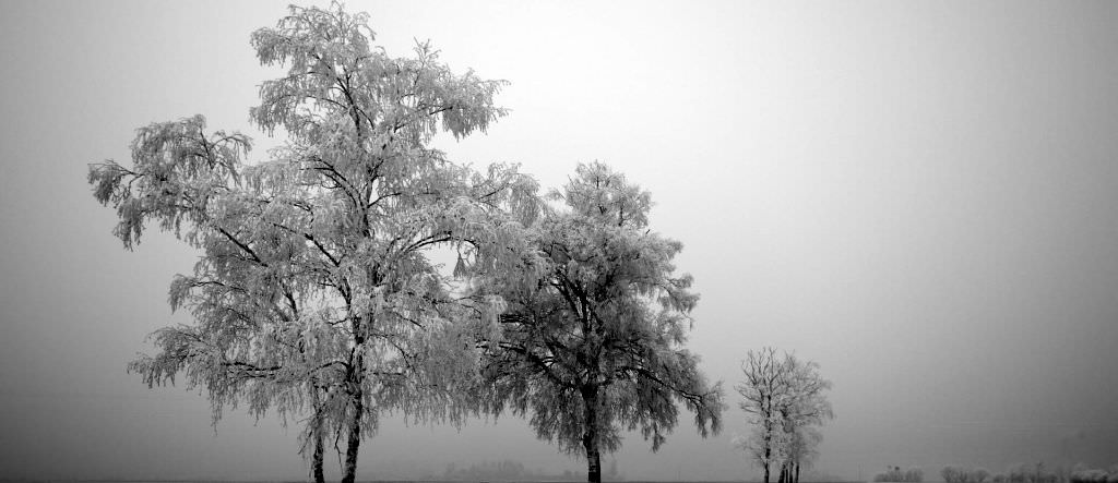 prognoza meteo: cod galben de ninsoare şi viscol pentru sibiu. cum va fi vremea în următoarele zile