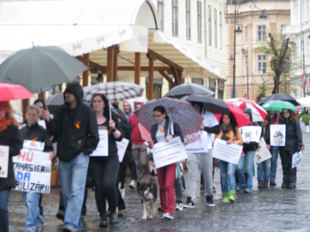 flashmob împotriva eutanasierii câinilor fără stăpân. peste 50 de persoane s-au strâns în piaţa mare