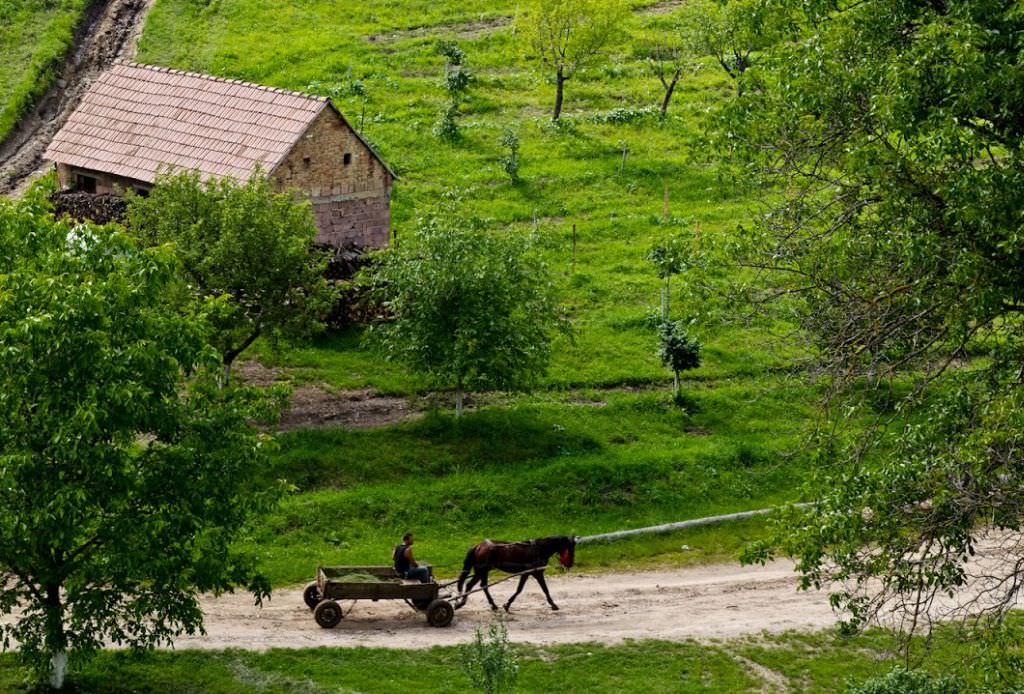 elvețienii învață agricultorii din sibiu să își valorifice soiurile de fructe