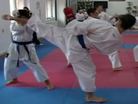 video: an de excepţie pentru clubul ippon mediaş – vezi amănunte!