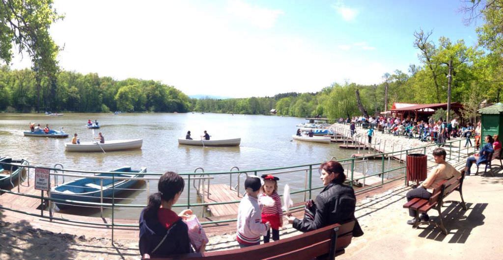 video foto aglomerație și zi superbă la zoo și muzeul în aer liber din dumbrava sibiului