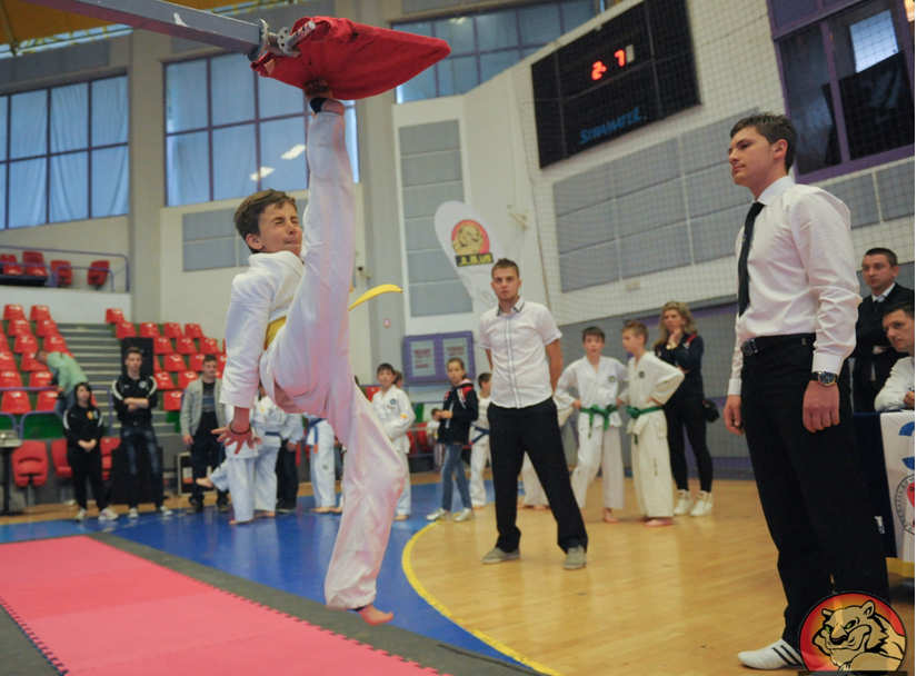 campionatul naţional de taekwon-do s-a ținut la sibiu - cei mai buni luptători