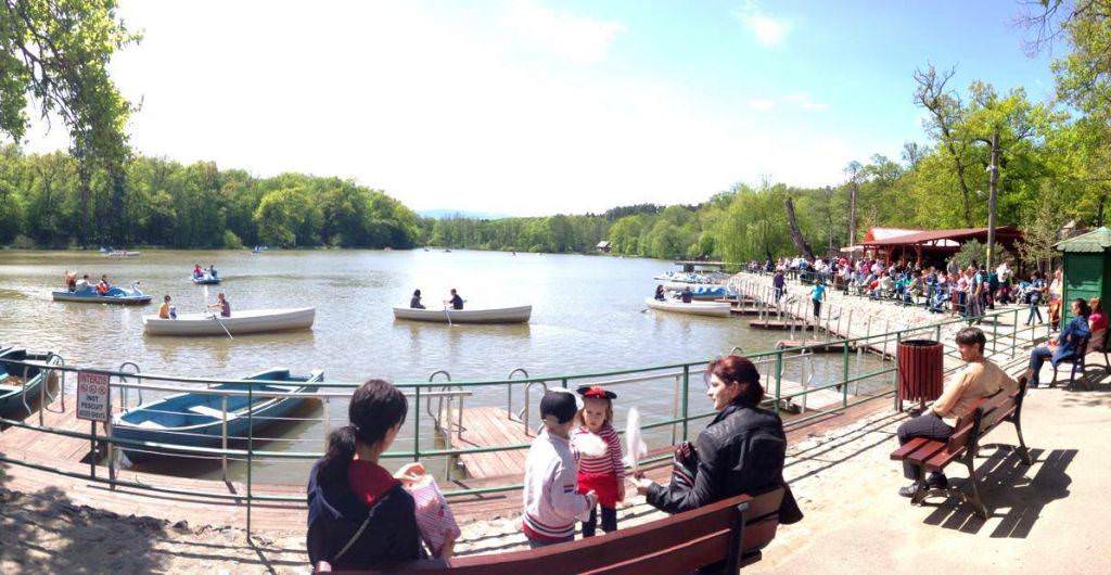 se licitează spaţii comerciale la intrarea în grădina zoologică sibiu