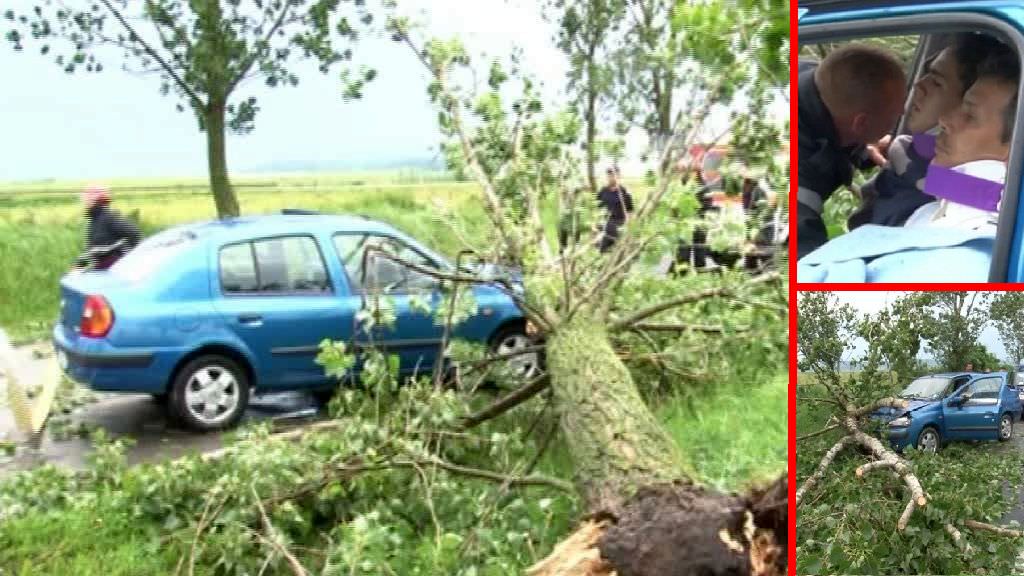 video foto mașină strivită de un copac la ieșirea din sibiu. două persoane au rămas încarcerate! (imagini dure)