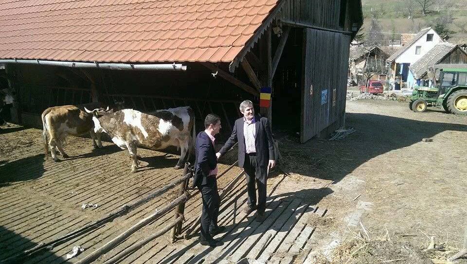 video sibienii care au lăsat luxul germaniei ca să facă agricultură bio în transilvania. acum sunt cei mai căutați din zonă!