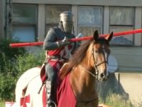 video 1.500 spectatori au asistat la turnirul cavalerilor din cadrul festivalului mediaş, cetate medievală