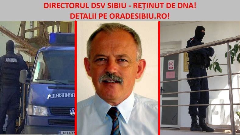 tichindelean și mirela oltean de la dsv sibiu, reținuți de dna! prejudicii de 1,8 milioane lei!