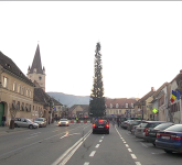 video foto la cisnădie a fost inaugurat cel mai înalt brad de crăciun din românia