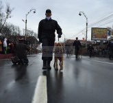 video foto mii de oameni la super parada militară de 1 decembrie de la sibiu. uite ce ai pierdut!