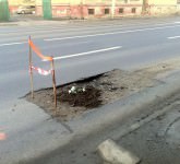 FOTO Panseluțe plantate în gropile de pe străzile Sibiului. Ce spune Primăria despre asta!