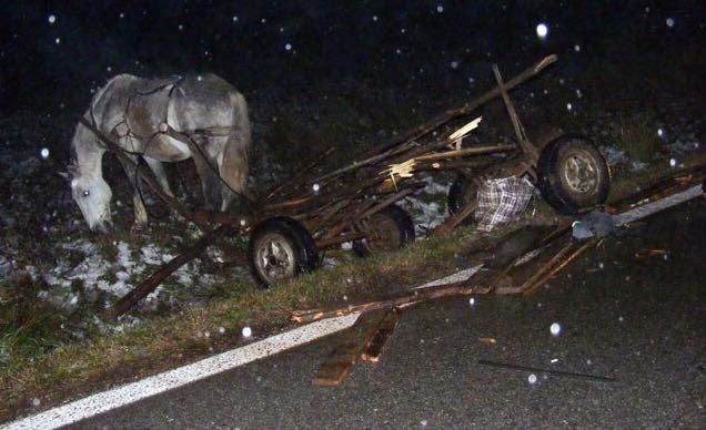 doua accidente provocate de o căruţă la dumbrăveni. căruţaşul a fugit!