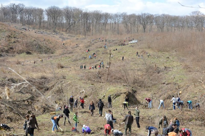 FOTO Mii de puieţi, plantaţi de 250 de voluntari la Slimnic!