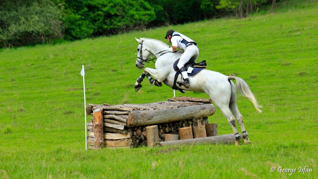 începe transylvania horse show sibiu 2015, cel mai mare concurs de gen din românia