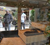 GALERIE FOTO - Expozitie de reptile vii la Shopping City Sibiu