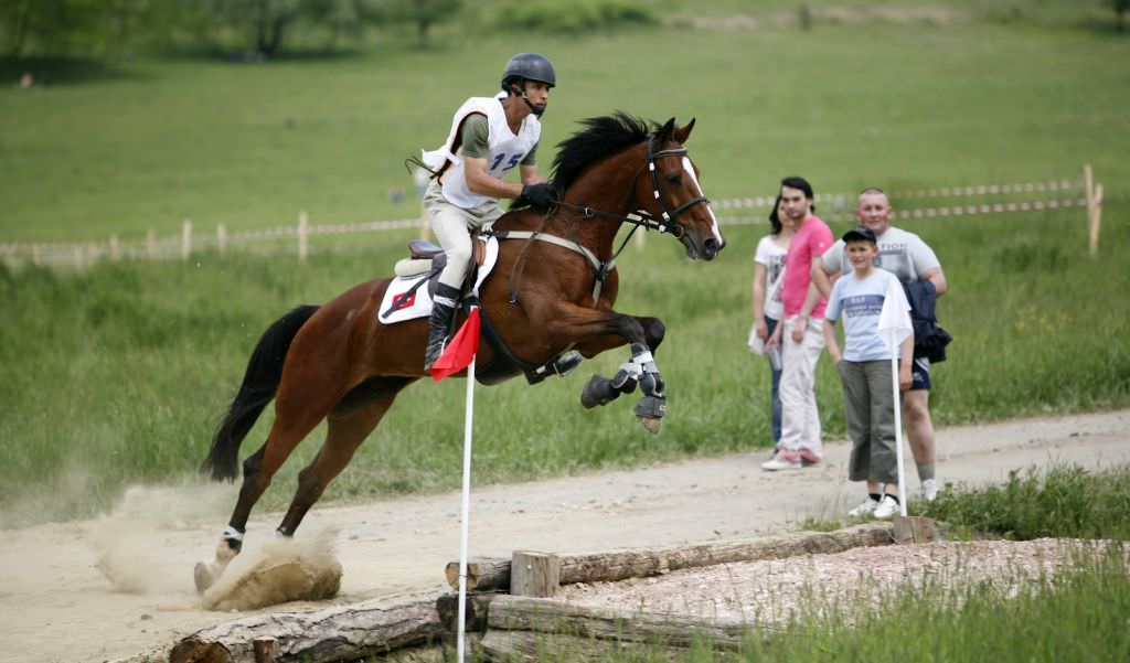 consiliul judeţean sibiu dă bani pentru transylvania horse show sibiu