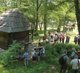 FOTO - Mori tradiționale repuse în funcțiune în Muzeulu în Aer Liber din Sibiu