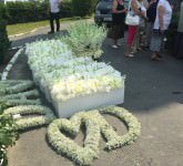 video - foto ultimul drum al lui darius dadoo într-o mare de flori albe. a plâns și cerul la plecarea spre cimitir!