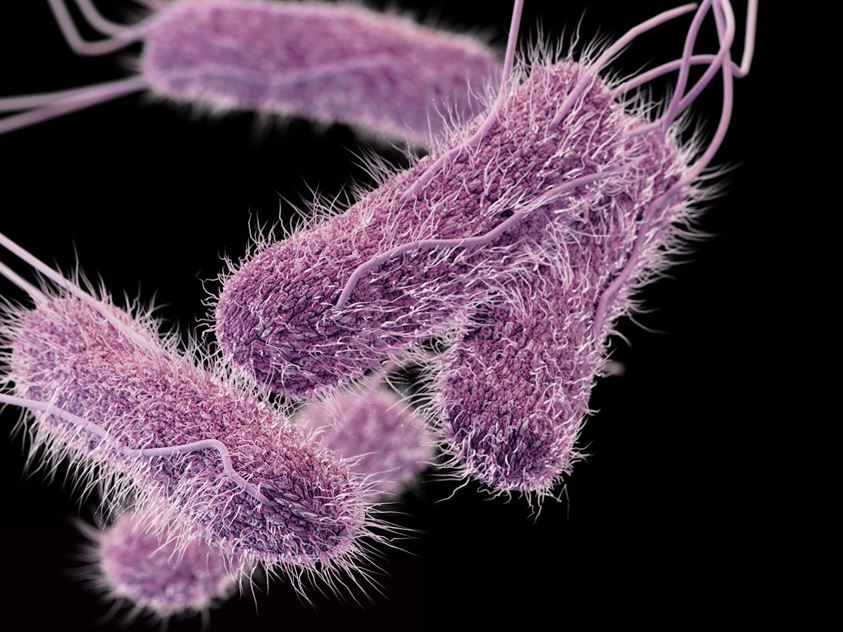 antibioticele neputincioase în lupta cu super bacteriile