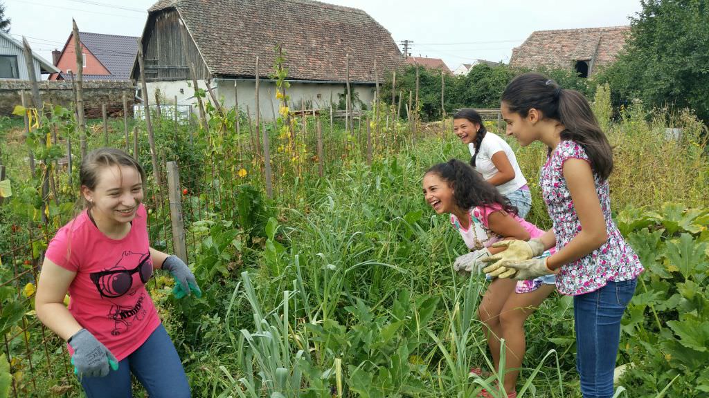 seminarii de biomimetică si permacultură la sibiu