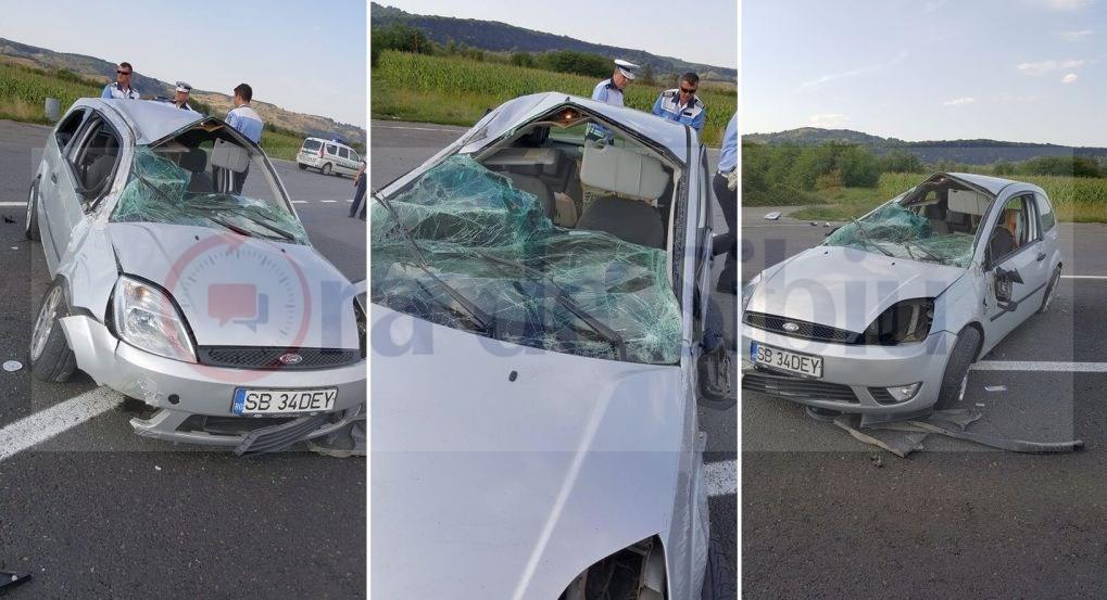 foto - adevărul despre accidentul de pe dn1: a vrut sa arunce o hartie pe geam și o viespe l-a pedepsit!