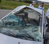 foto - adevărul despre accidentul de pe dn1: a vrut sa arunce o hartie pe geam și o viespe l-a pedepsit!