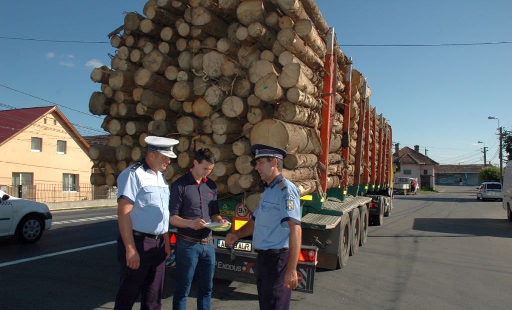 prins în trafic că transporta lemne fără acte valabile. s-a întâmplat între dobârca și poiana sibiului