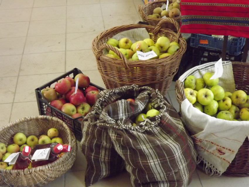 Copiii din școlile sibiene vor primi mere și pere din toamnă