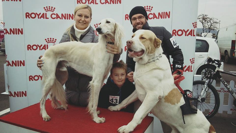 o sibiancă deține unul dintre cei mai rari câini din românia. toată lumea îl iubește!