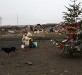 VIDEO FOTO – BUCURIE dăruită în prag de Sărbători pentru zeci de copii și familii nevoiașe din Sibiu. Ne-au răsplătit cu ZÂMBETE DE FERICIRE!